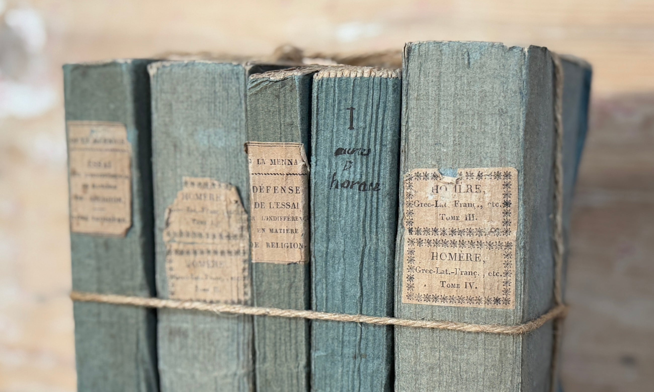 Set of Antique Variegated  Blue Books