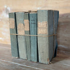 Set of Antique Variegated  Blue Books