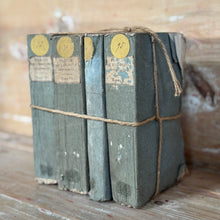 Antique Histoire de France Books, (sets of 4)