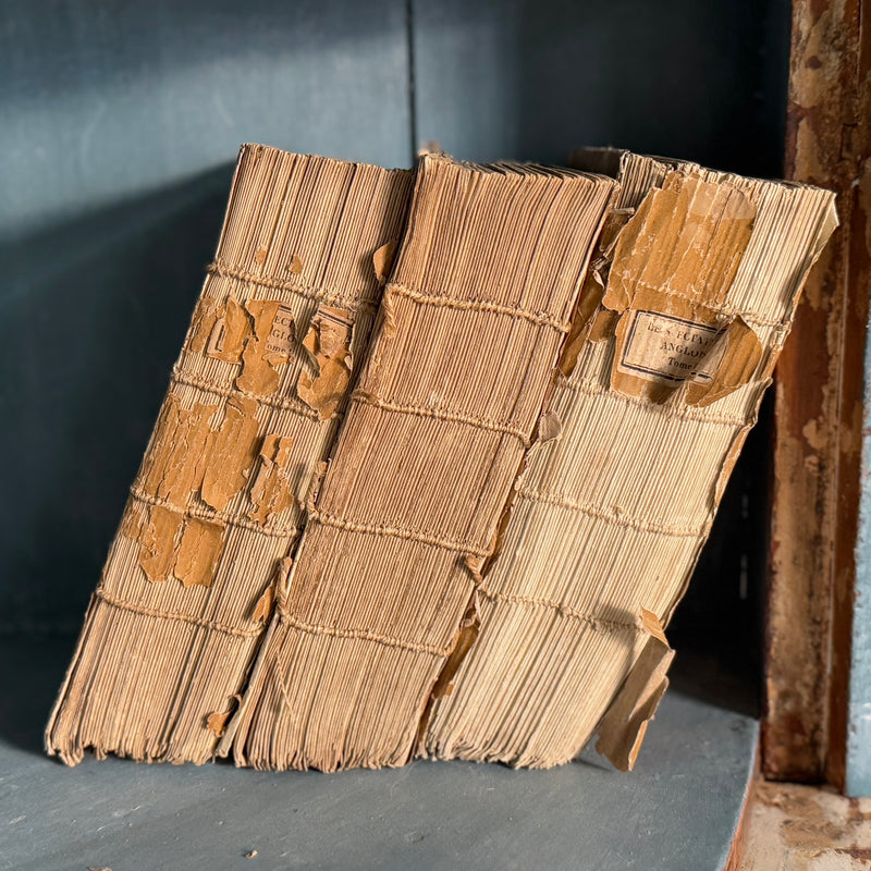 Set of 3 Antique Mustard Angloise Books