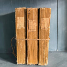 Set of 3 Antique French Gold History Books