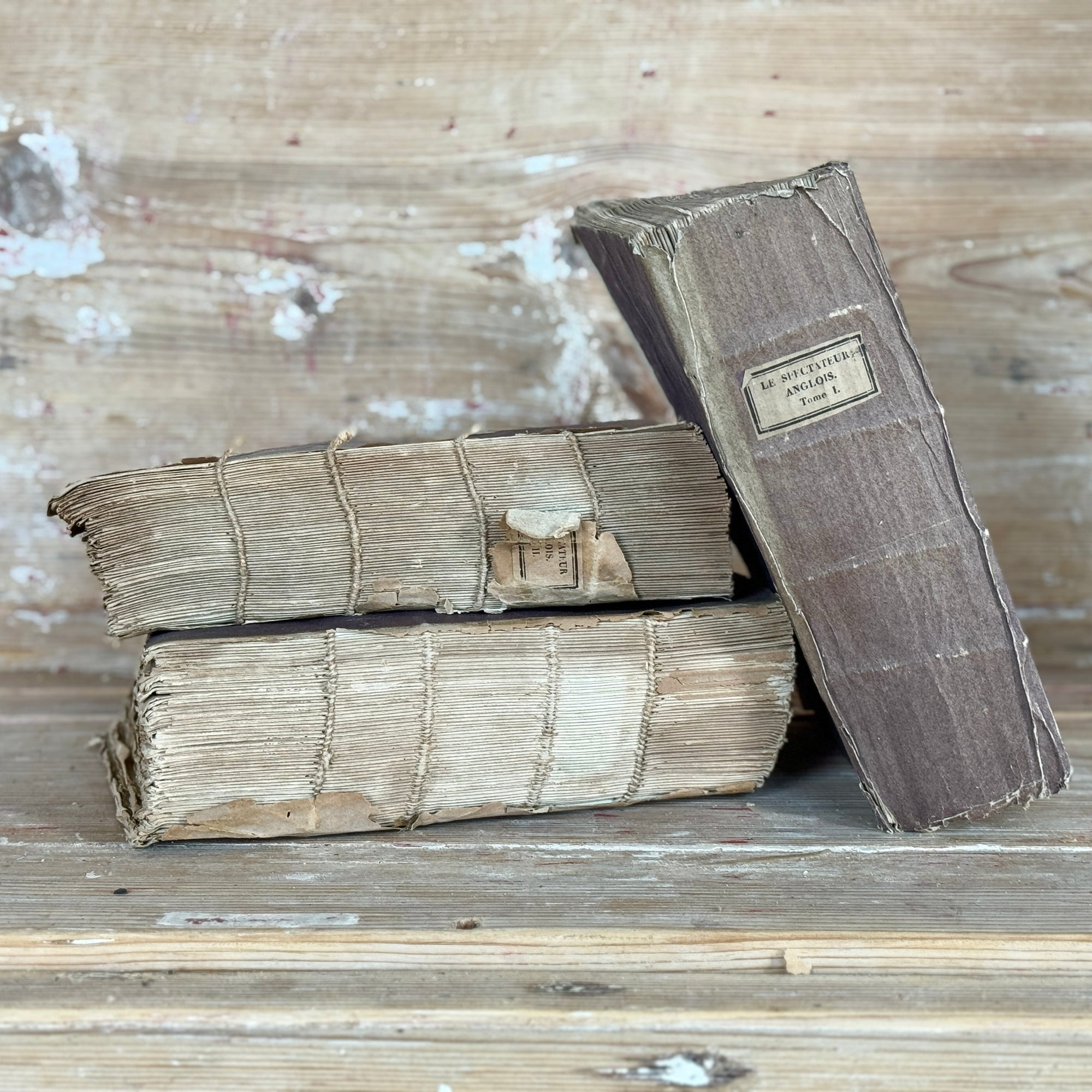 Set of 3 French Antique Aubergine Books