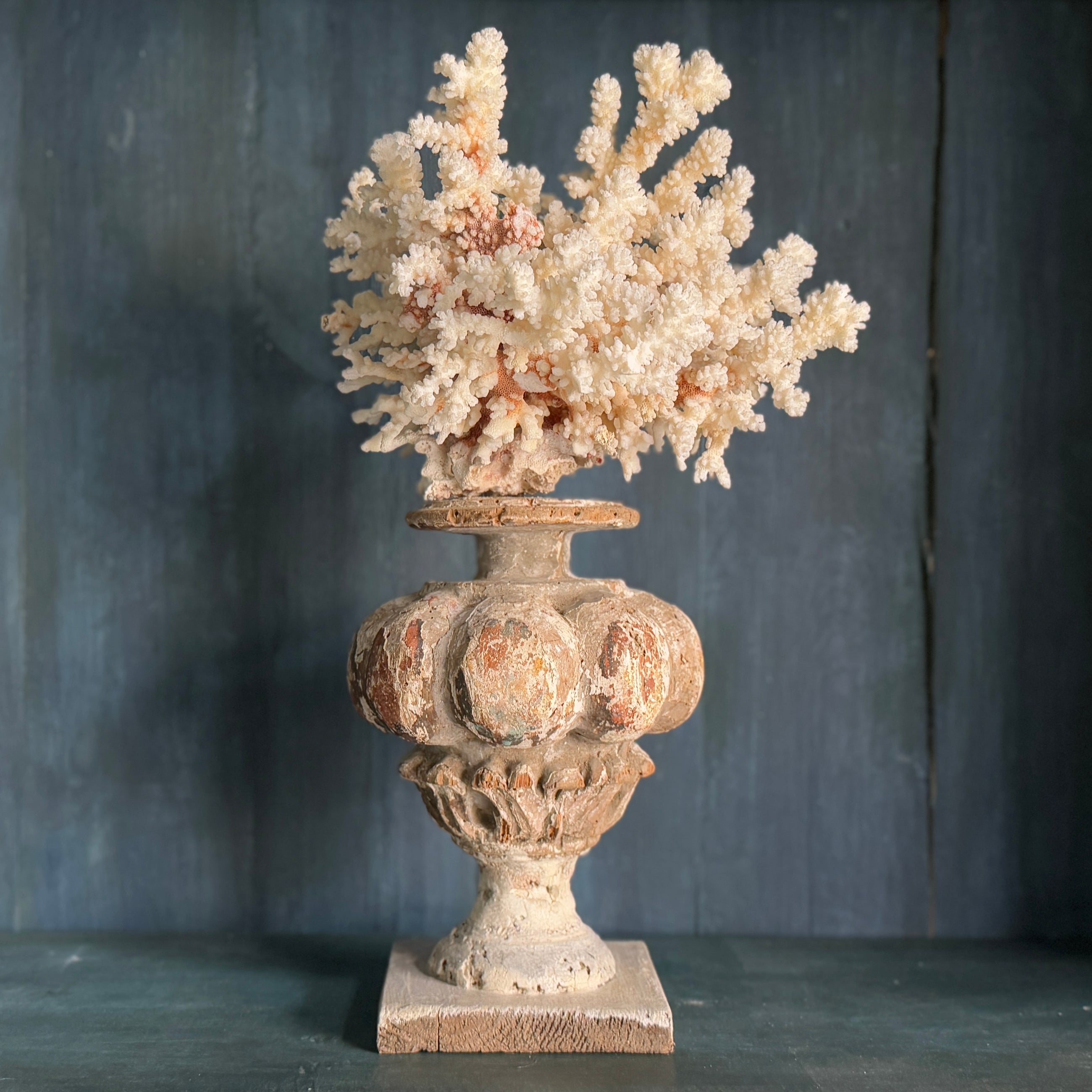 Coral Mounted on Antique Fragment