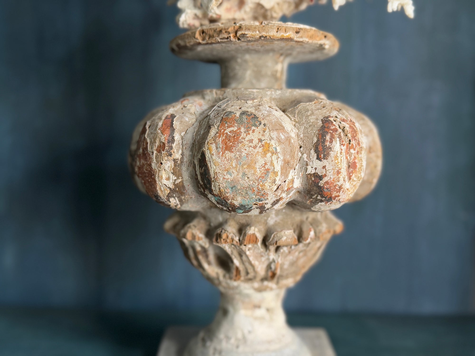 Coral Mounted on Antique Fragment