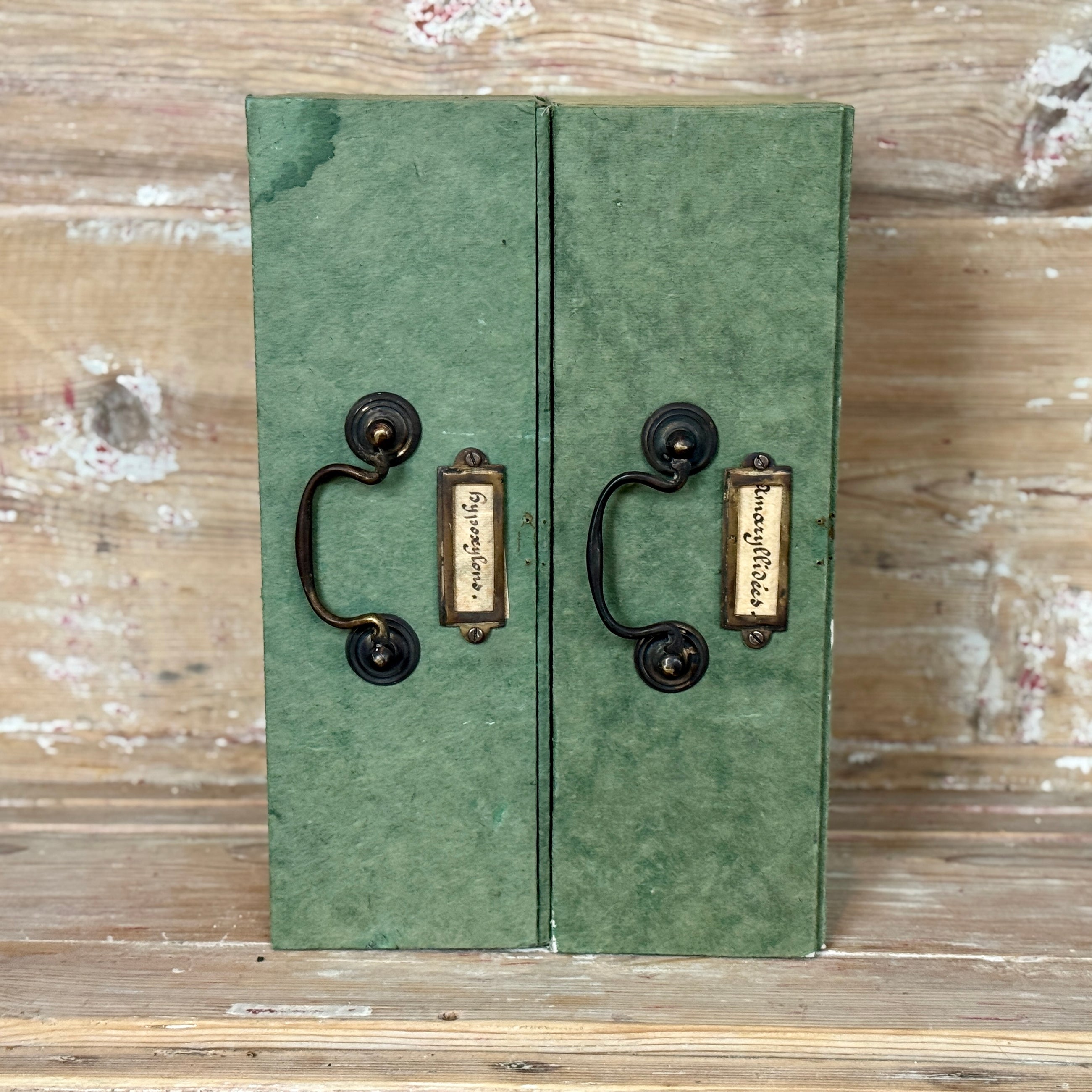 Vintage French Green Documents Box with Brass Handle