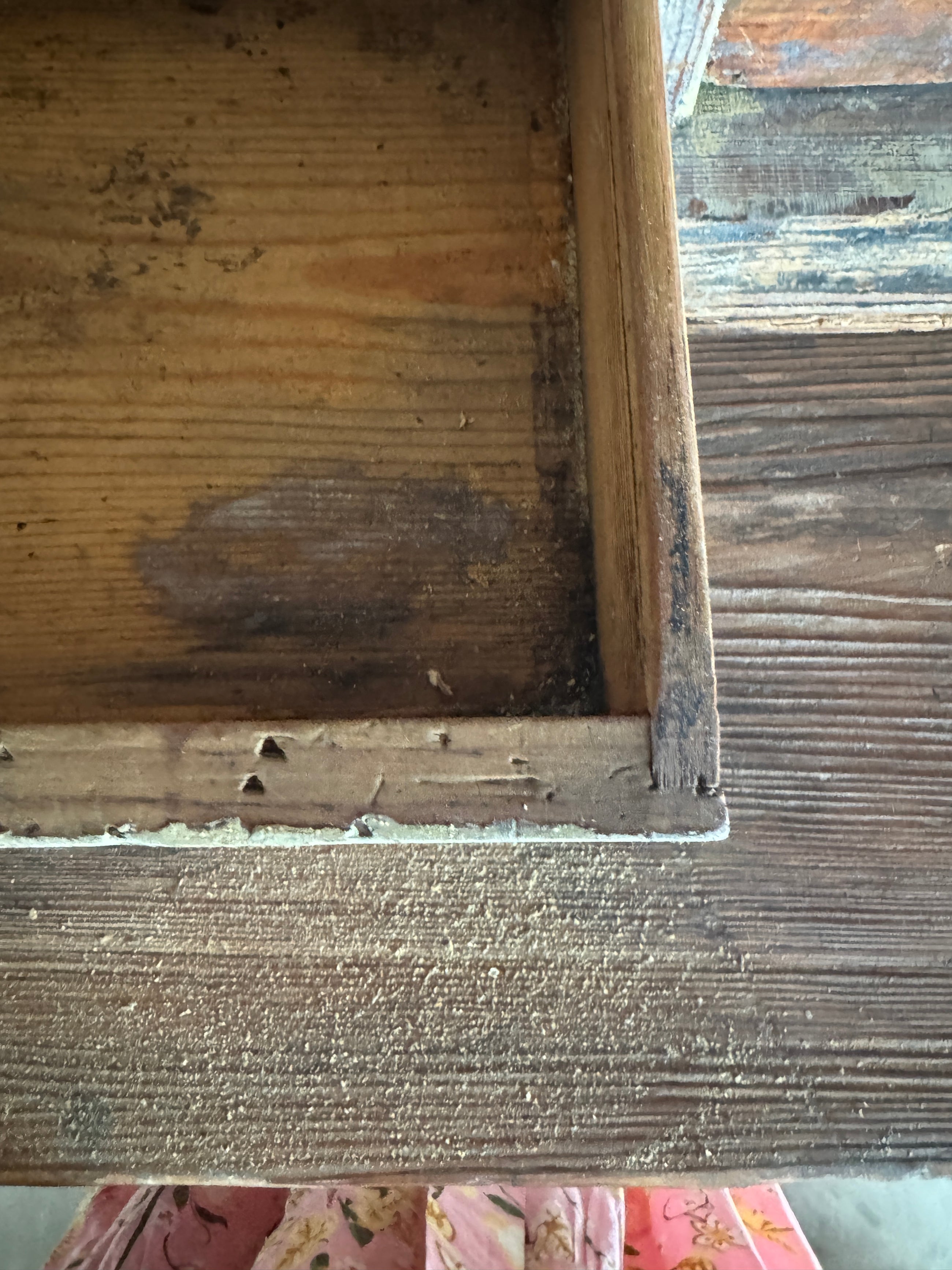 Swedish Late Roccoco  circa 1770/1780 Cabinet