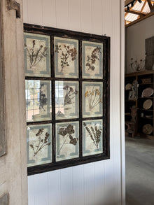 French Pressed Botanical Grouping in Distressed Frame