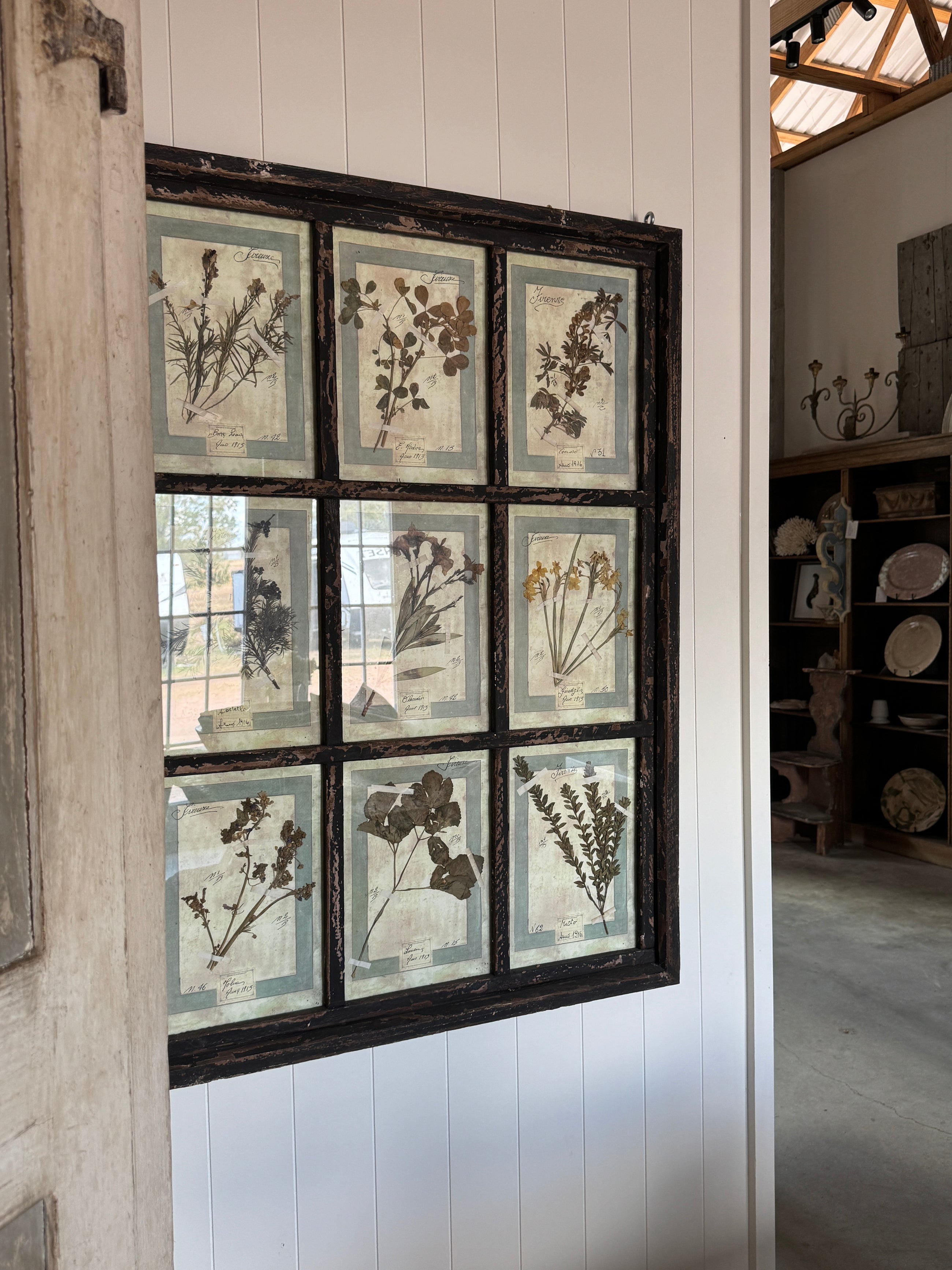 French Pressed Botanical Grouping in Distressed Frame