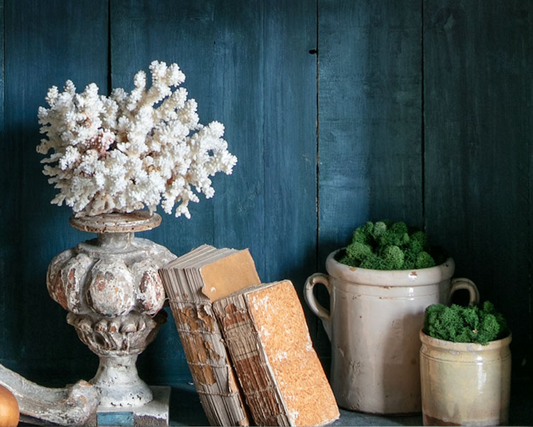 Coral Mounted on Antique Fragment